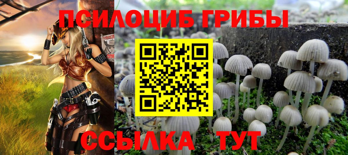 Барабинск  Псилоцибиновые грибы MAGIC MUSHROOMS  Галлюциногенные грибы Cubensis  Вход с VPN 